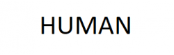 Human